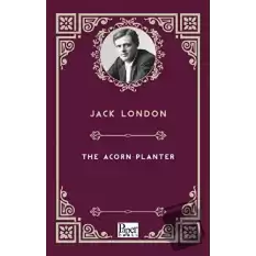 The Acorn - Planter