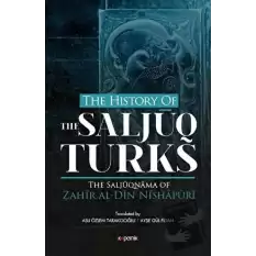 The History Of The Saljuq Turks