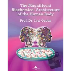 The Magnificent Biochemical Architecture of the Human Body