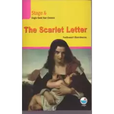 The Scarlet Letter (CDli) Stage 6