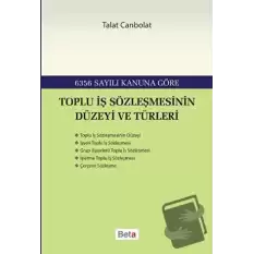 Toplu İş Sözleşmesinin Düzeyi ve Türleri