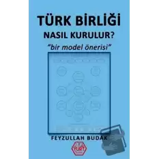 Türk Birliği Nasıl Kurulur?