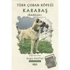 Türk Çoban Köpeği Karabaş (Kangal)