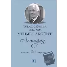 Türk Düşüncesi Yolunda Mehmet Akgün’e Armağan