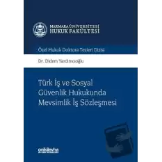 Türk İş ve Sosyal Güvenlik Hukukunda Mevsimlik İş Sözleşmesi (Ciltli)