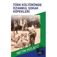 Türk Kültüründe İstanbul Sokak Köpekleri