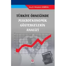 Türkiye Örneğinde Makroekonomik Göstergelerin Analizi