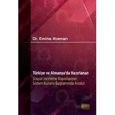 Türkiye ve Almanyada Hazırlanan Sosyal İnceleme Raporlarının Sistem Kuramı Bağlamında Analizi