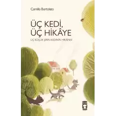 Üç Kedi, Üç Hikaye