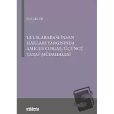 Uluslararası İnsan Hakları Yargısında Amicus Curiae - Üçüncü Taraf Müdahalesi