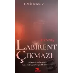 Uyanış Labirent Çıkmazı