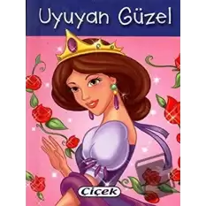 Uyuyan Güzel (Mini Boy) (Ciltli)