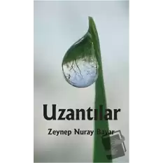 Uzantılar