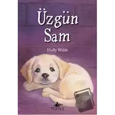 Üzgün Sam