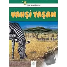 Vahşi Yaşam - İlk Hazinem