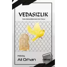 Vedasızlık