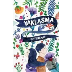 Yaklaşma