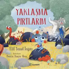 Yaklaşma Pırtlarım