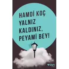 Yalnız Kaldınız, Peyami Bey!