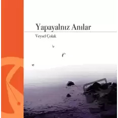 Yapayalnız Anılar