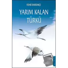 Yarım Kalan Türkü