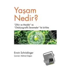 Yaşam Nedir?