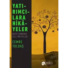 Yatırımcılara Hikayeler