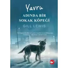 Yavru Adında Bir Sokak Köpeği