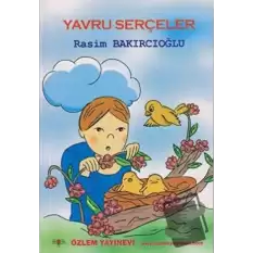 Yavru Serçeler