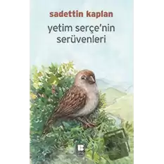 Yetim Serçenin Serüvenleri