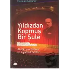 Yıldızdan Kopmuş Bir Şule