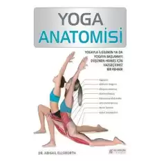 Yoga Anatomisi