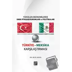 Yükselen Ekonomilerde Emek Piyasası Kurumları ve Politikaları - Türkiye Meksika Karşılaştırması