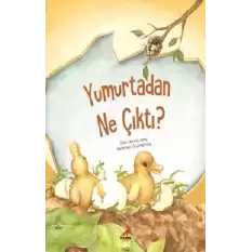 Yumurtadan Ne Çıktı?