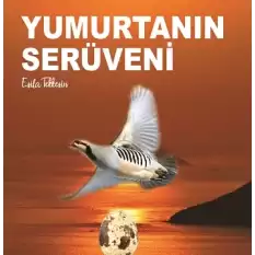 Yumurtanın Serüveni