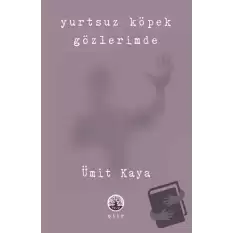 Yurtsuz Köpek Gözlerimde