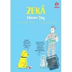 Zeka Denen Şey