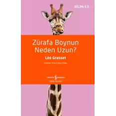 Zürafa Boynun Neden Uzun? - Bilim 13