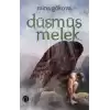 Düşmüş Melek