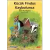 Küçük Findus Kaybolunca