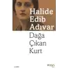 Dağa Çıkan Kurt