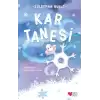 Kar Tanesi