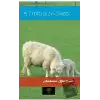 A Treatise On Sheep