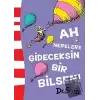 Ah Nerelere Gideceksin Bir Bilsen!