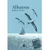 Albatros