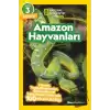 Amazon Hayvanları - National Geographic Kids