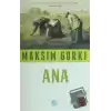 Ana (Özet Kitap)