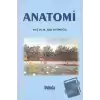 Anatomi