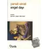 Angel Dayı