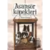 Asansör Köpekleri